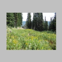 MtHoodHike 21Aug2014 045.jpg